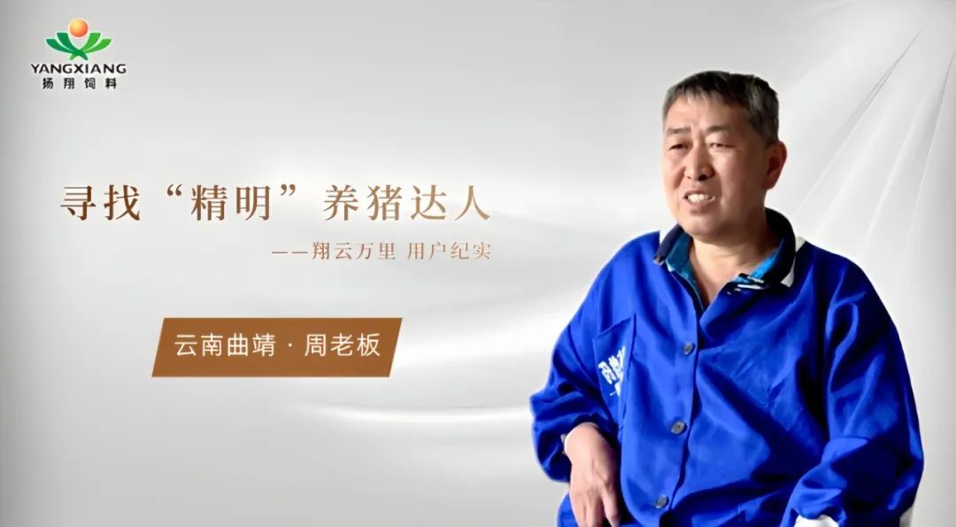 30年深耕猪圈改造！曲靖老板“逆行情而动”：别人等行情，他修猪圈“破局”