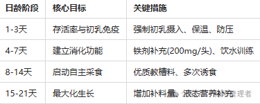 哺乳仔猪阶段性营养干预措施