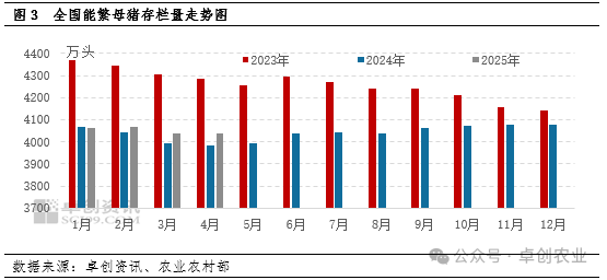 母猪存栏