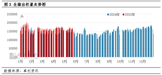 5月猪价破新低，6月能否重新拉涨？