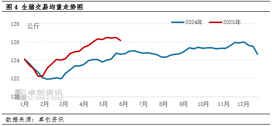 5月猪价破新低，6月能否重新拉涨？