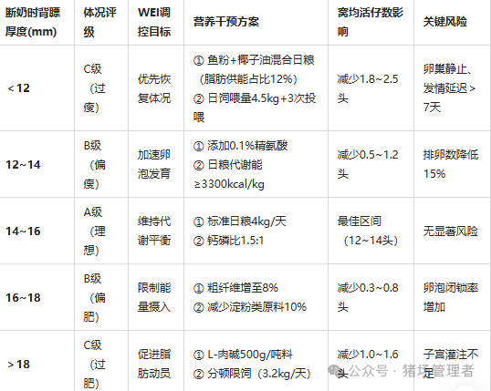 动态背膘管理