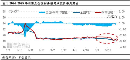 白条猪肉价格