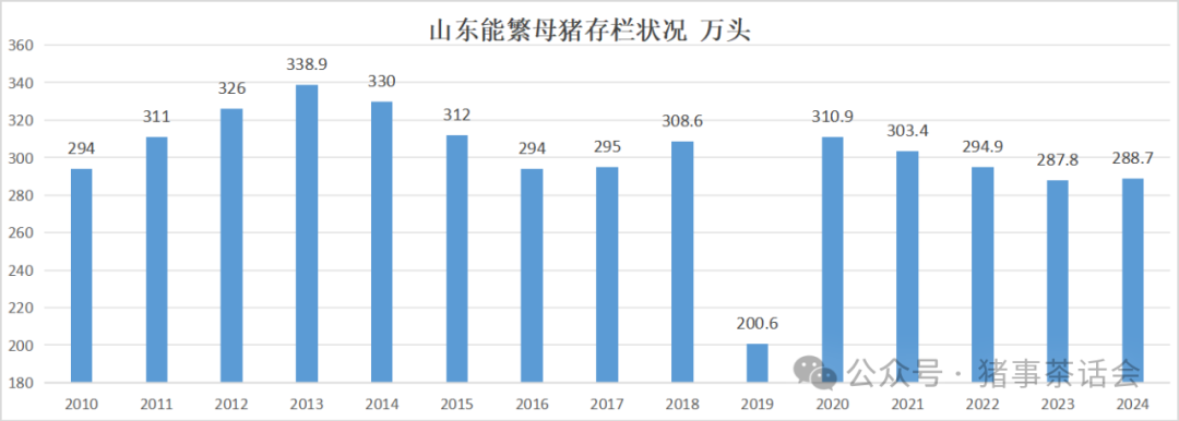 山东母猪存栏