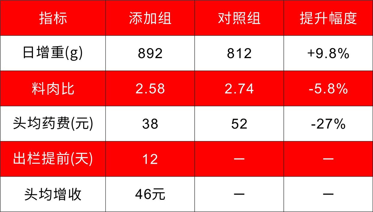 河南某5000头育肥场对比试验（2023）