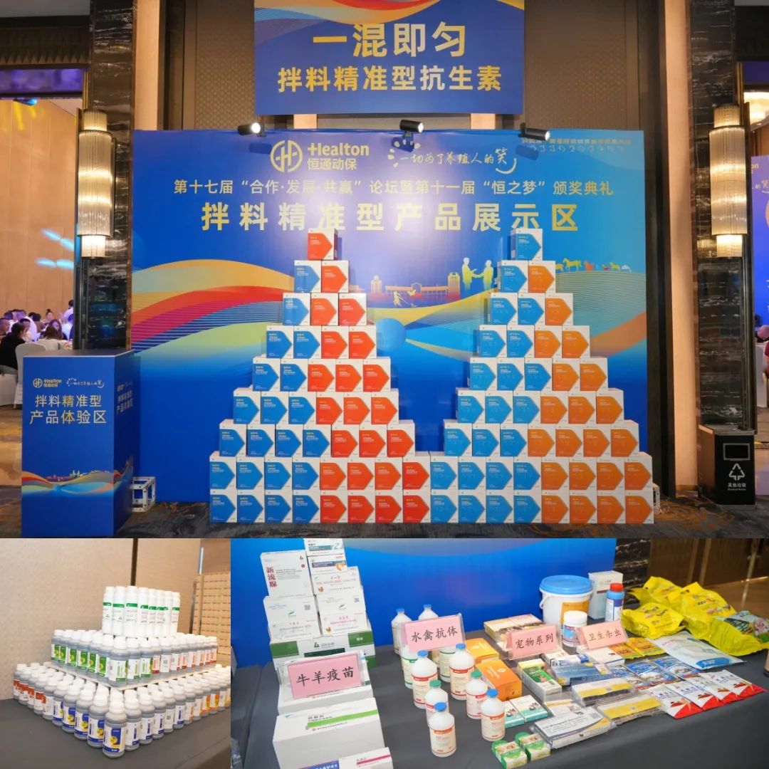 产品展示区