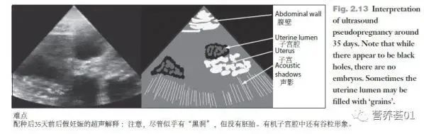 超声