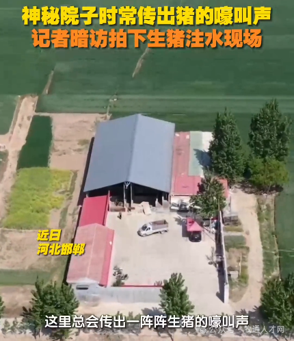 广西6月1日起实施新规、黑龙江开展专项整治行动……多地严查生猪调运     原创      大亨 