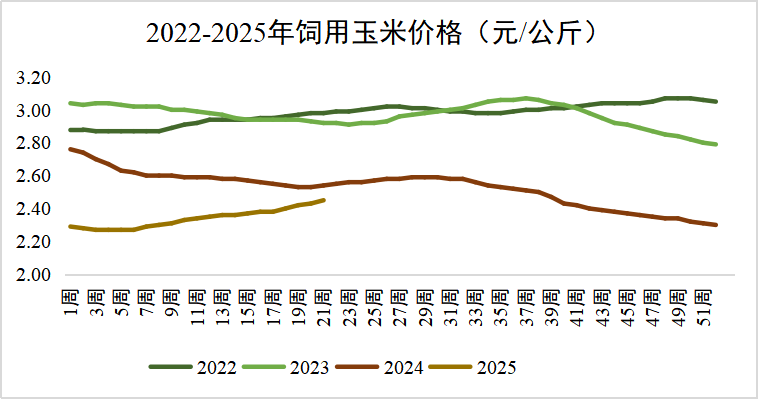 玉米行情