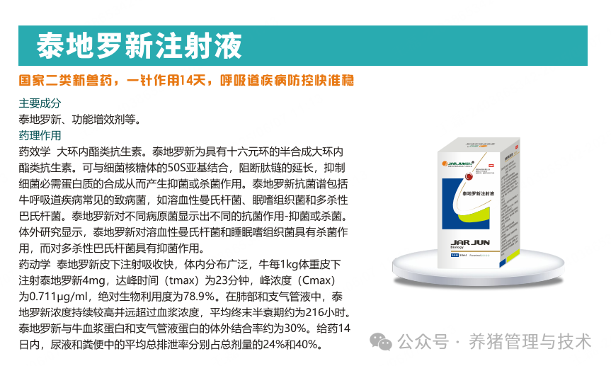 泰地罗新