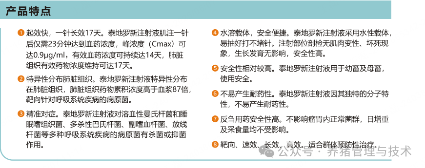 泰地罗新