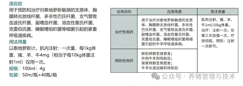 泰地罗新