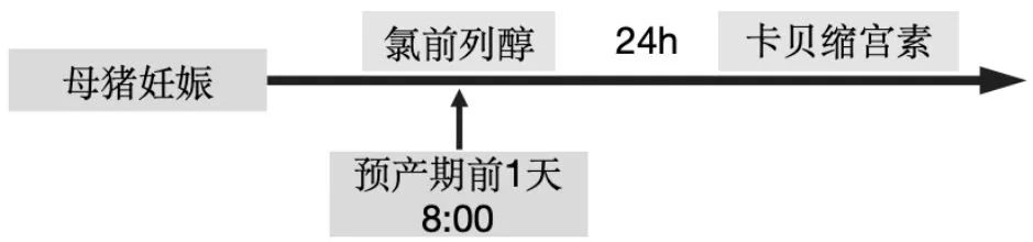 氯前列醇+卡贝缩宫素同期分娩技术