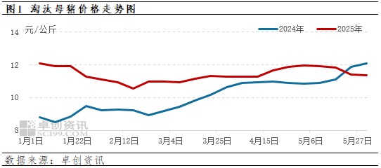 肥标价差倒挂，淘汰母猪价格继续下跌！猪市后市如何？