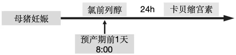 前列烯醇同期分娩技术