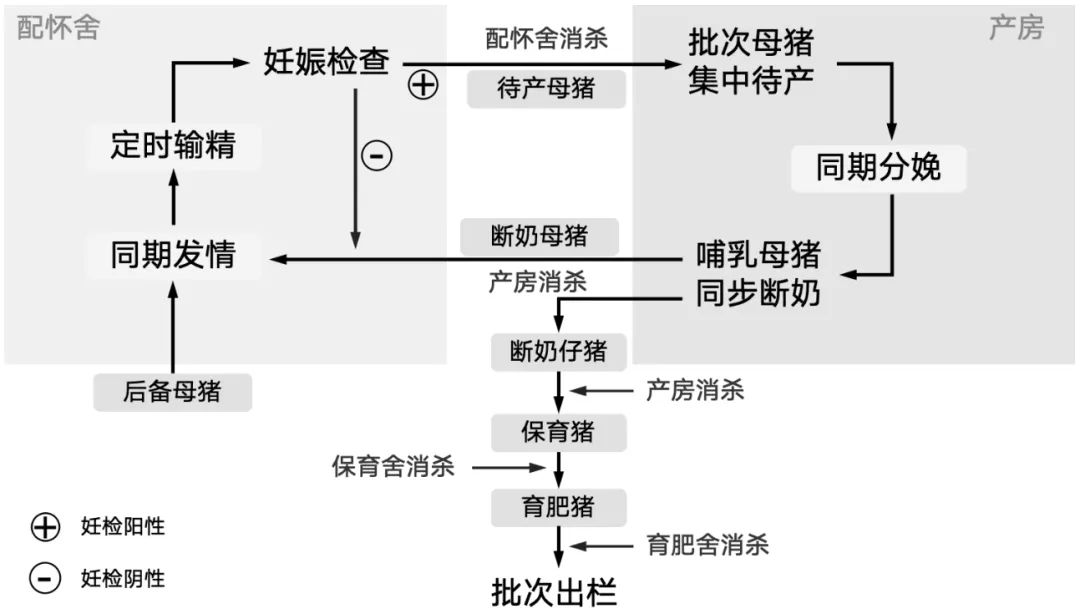 批次化生产基本流程
