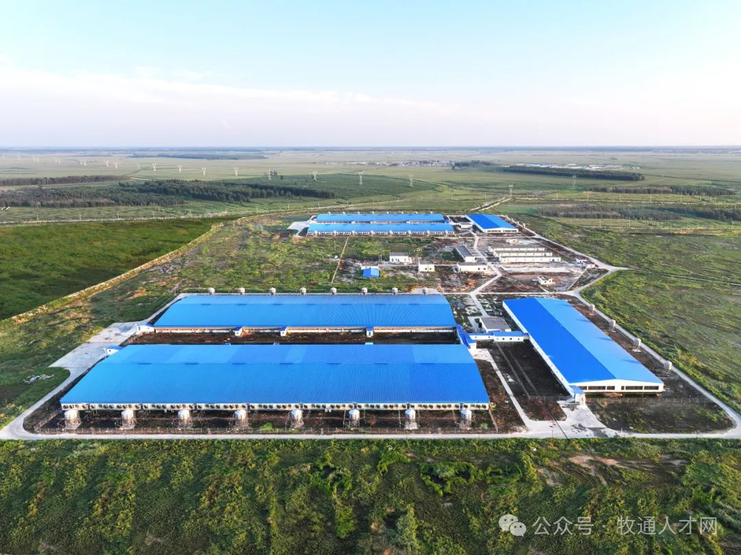扩张迅猛！投资百亿，百万头产能正在建设，中粮家佳康全产业链建设跑出加速度