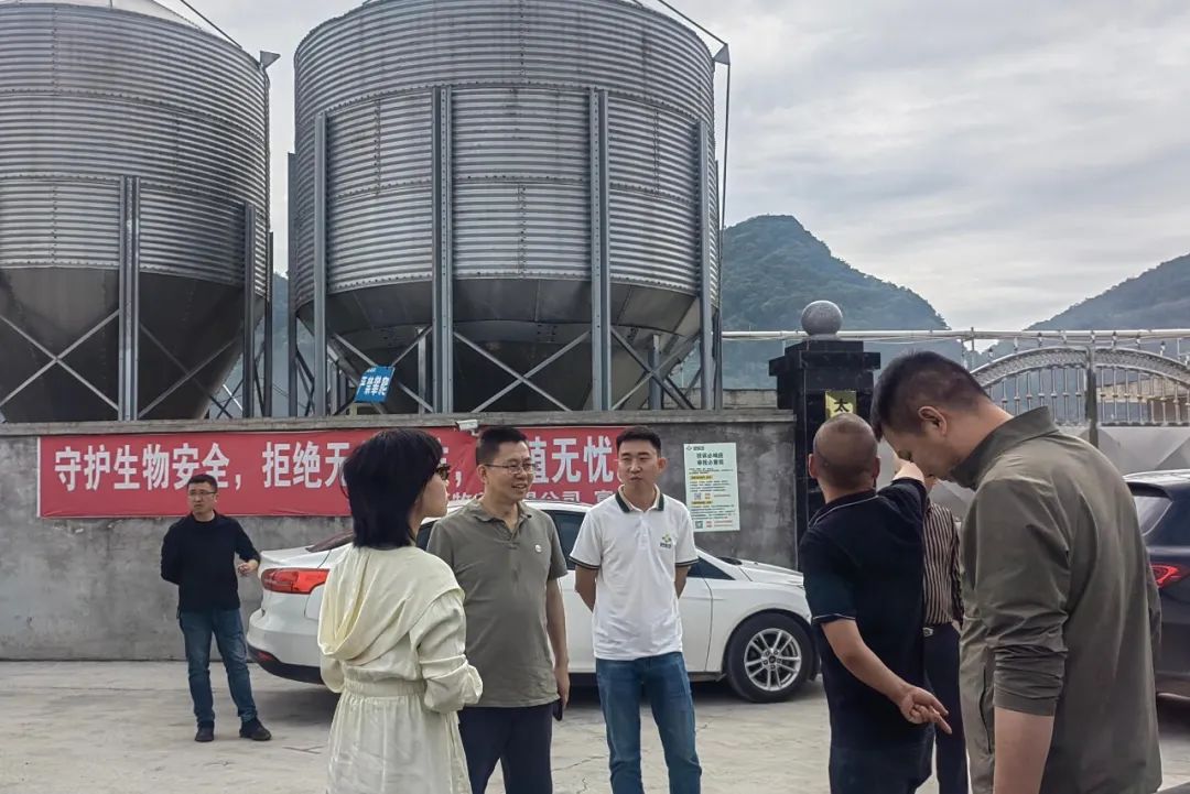 董事长刘畅一行与放养场老板初步交流猪场情况
