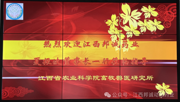 邦诚药业夏振波董事长率团赴省农业科学院畜牧兽医研究所交流洽谈、共商合作！