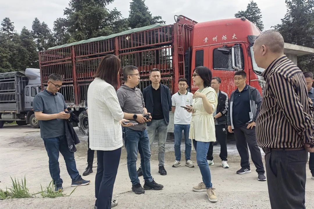 调研组与重点客户交流市场走势