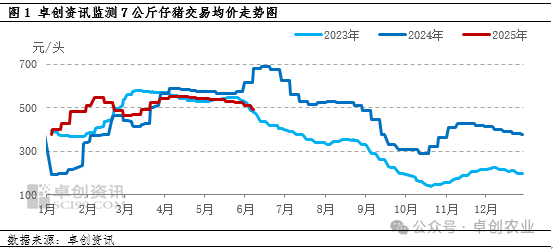 仔猪行情