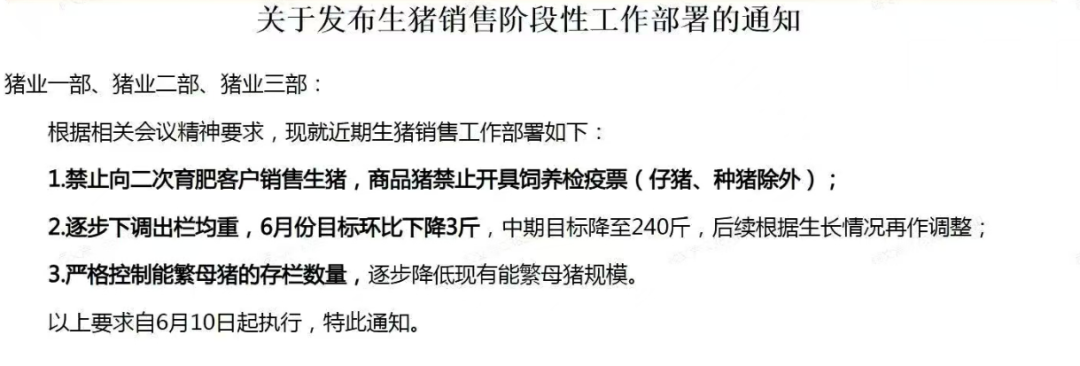 生猪销售阶段性工作部署