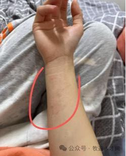 猪场消毒剂泡菜成常态？过度消毒几时休？