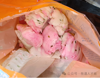 猪场消毒剂泡菜成常态？过度消毒几时休？