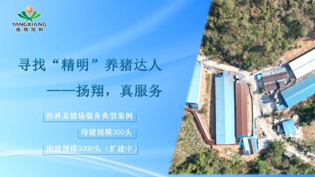 数据见证成长！桂林蒋老板借扬翔模式养猪产能翻六倍！