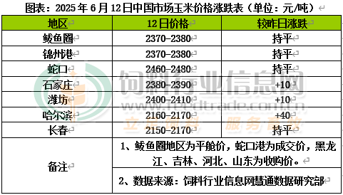 玉米价格