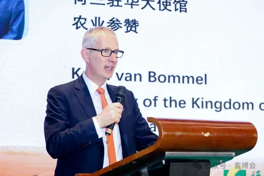 卡雷尔