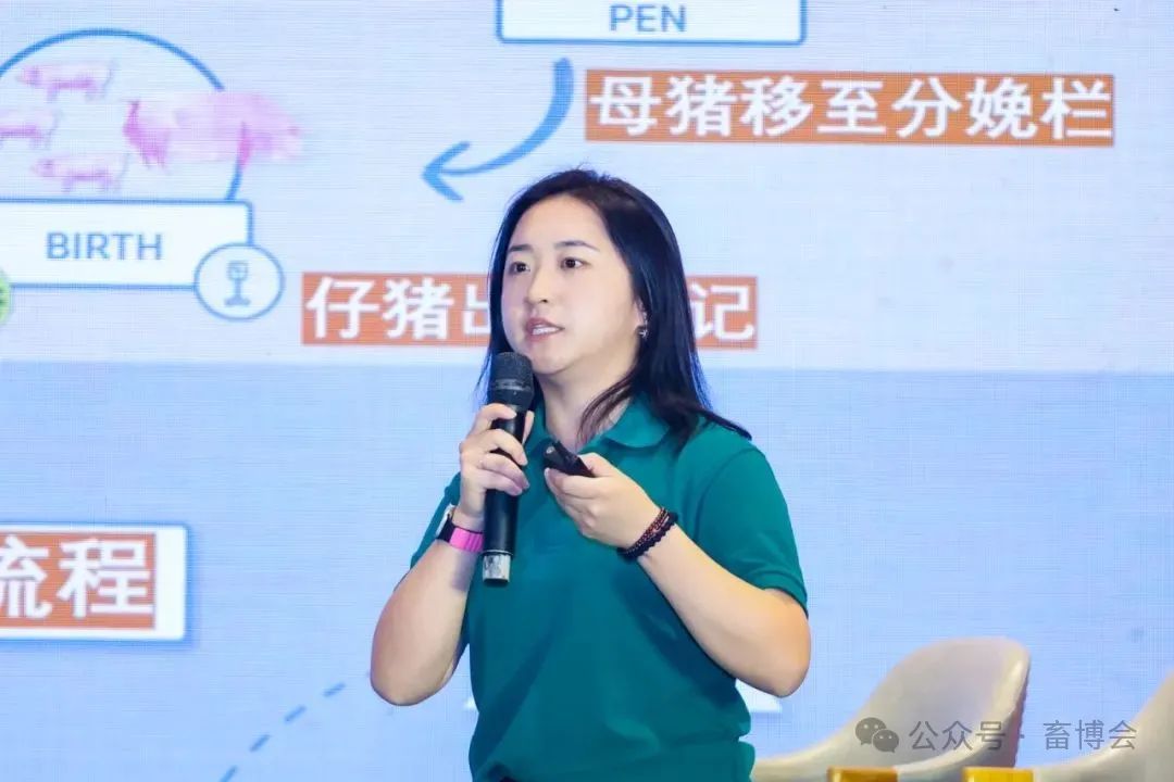 吴皛皛