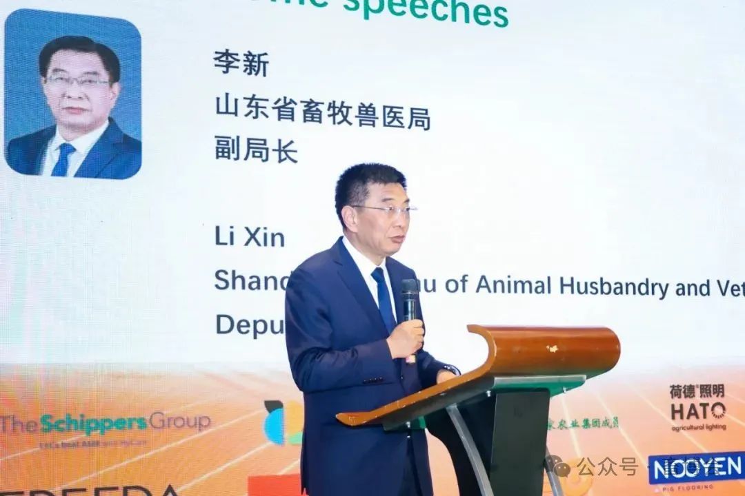 李新
