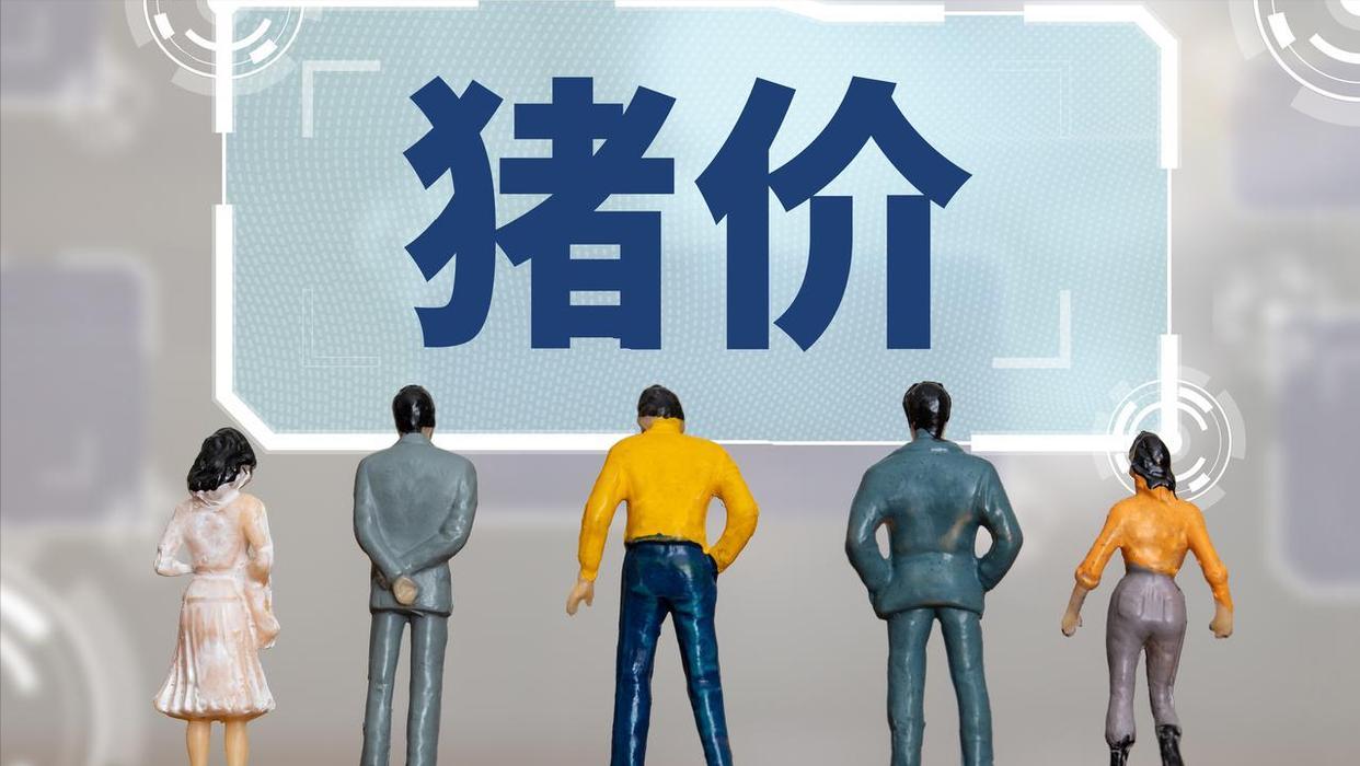 上涨“昙花一现”？猪价下跌“势不可挡”！