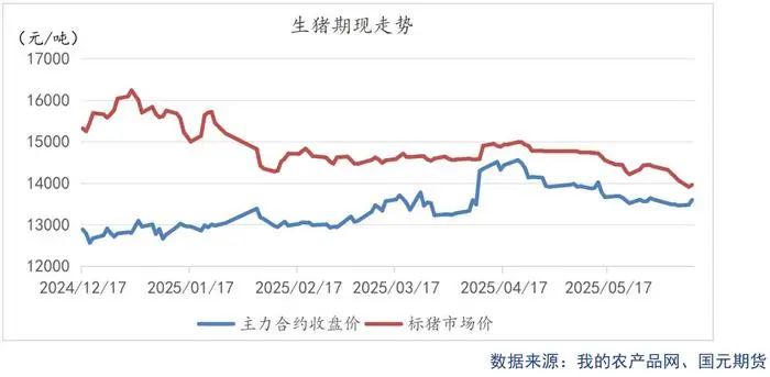 关注！猪肉股和期货都在涨，下半年行情拐点或出现在这两个时间