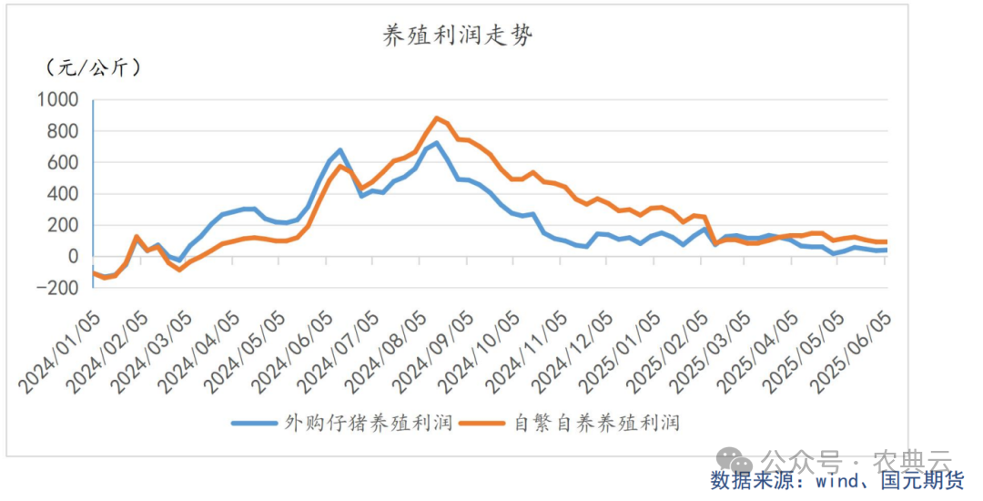 多地猪价跌破7元，本轮猪周期拐点何时出现？养猪还有盈利空间吗？