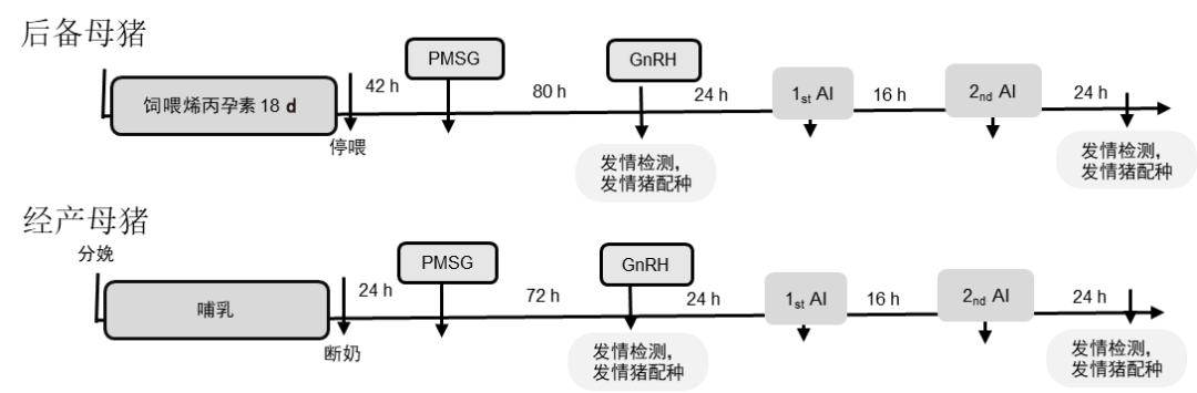 两点查情定时输精处理方案