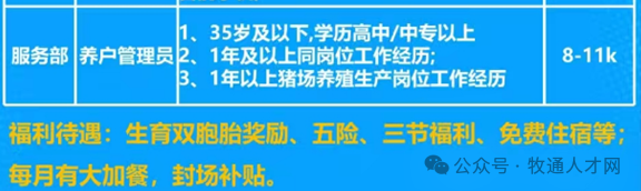 TOP20猪企超半数发展代养！管理型人才成热门