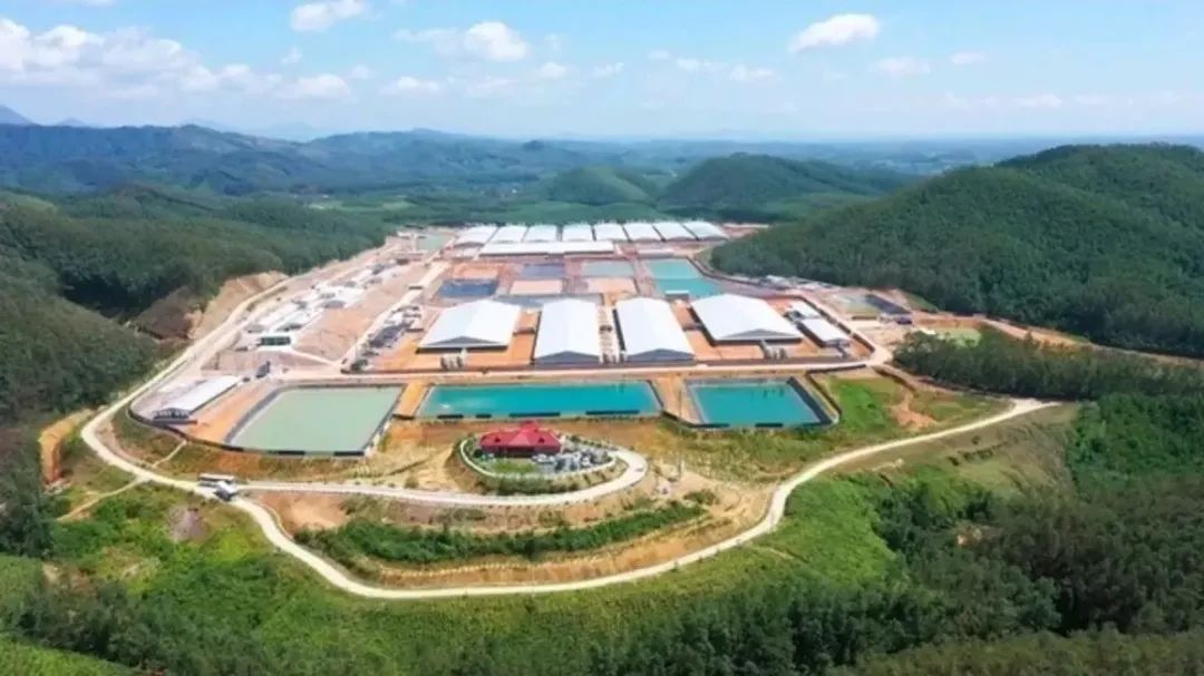 越南BAF公司提议建设全国首个高层养猪项目