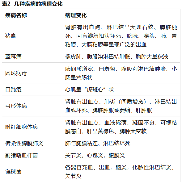 论猪场疾病诊断：5大细节要注意！