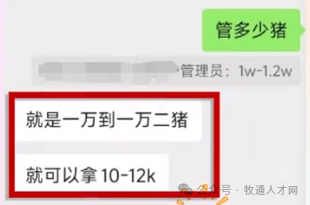 TOP20猪企超半数发展代养！管理型人才成热门