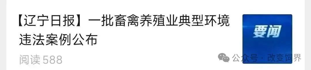 加强监管！严查3个月，重点整治畜禽养殖污染问题！
