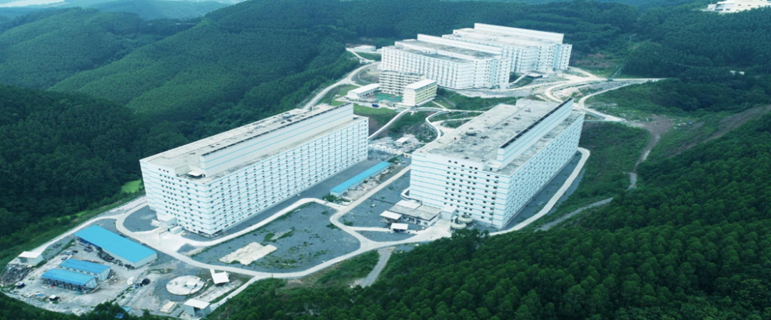 2025数智畜牧新标杆：智能楼房猪场如何用“黑科技”破解养殖效率密码？