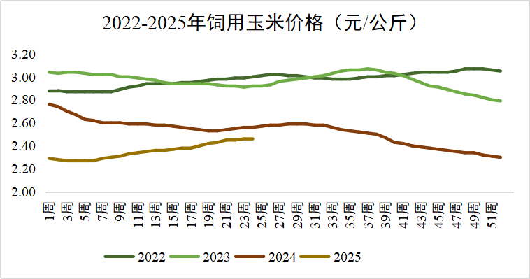 玉米行情