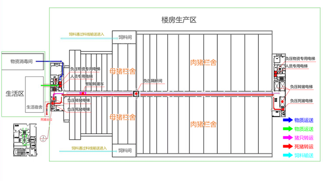 楼房猪场料、猪、人、物转运设计