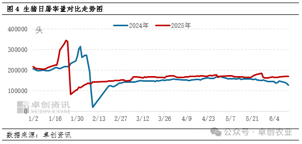 生猪屠宰量