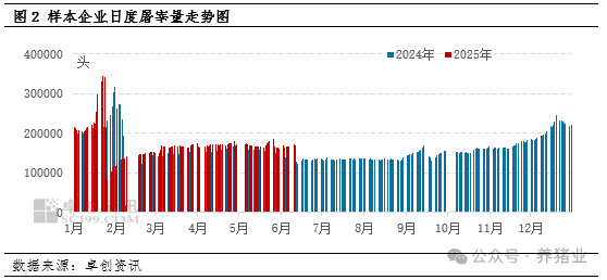 猪市供应相对充足！6-7月猪价还有多大上涨空间？