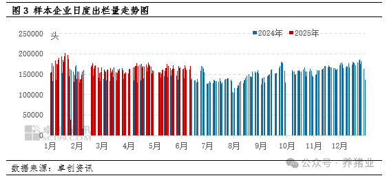 猪市供应相对充足！6-7月猪价还有多大上涨空间？