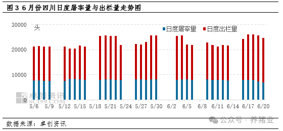 生猪减重出栏效果显现，6月哪个地区猪价降幅最大？