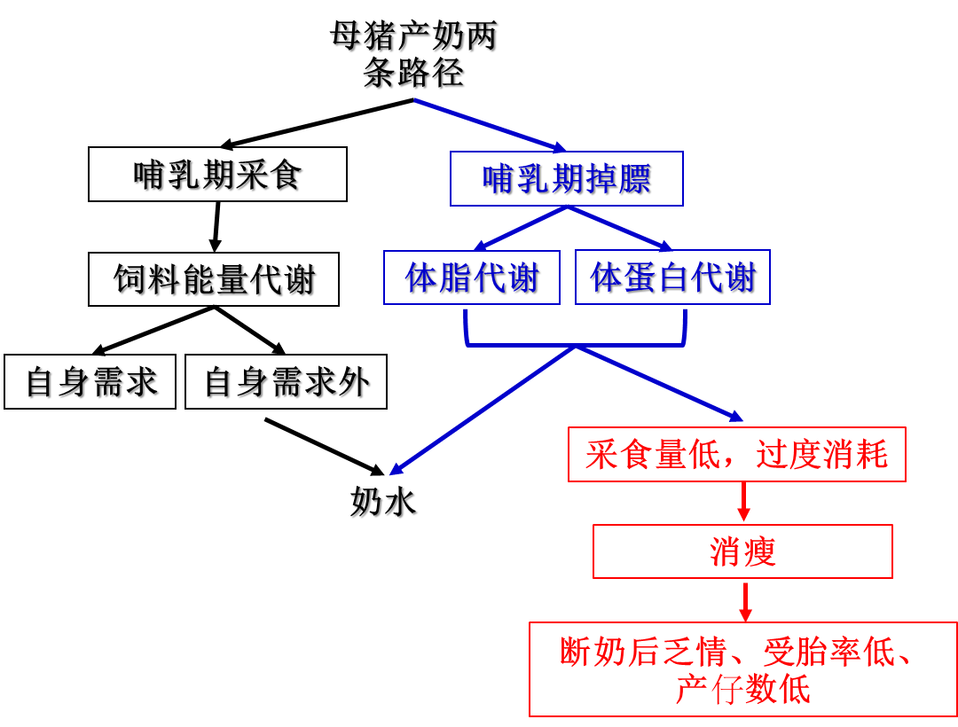 哺乳母猪采食量不足的影响